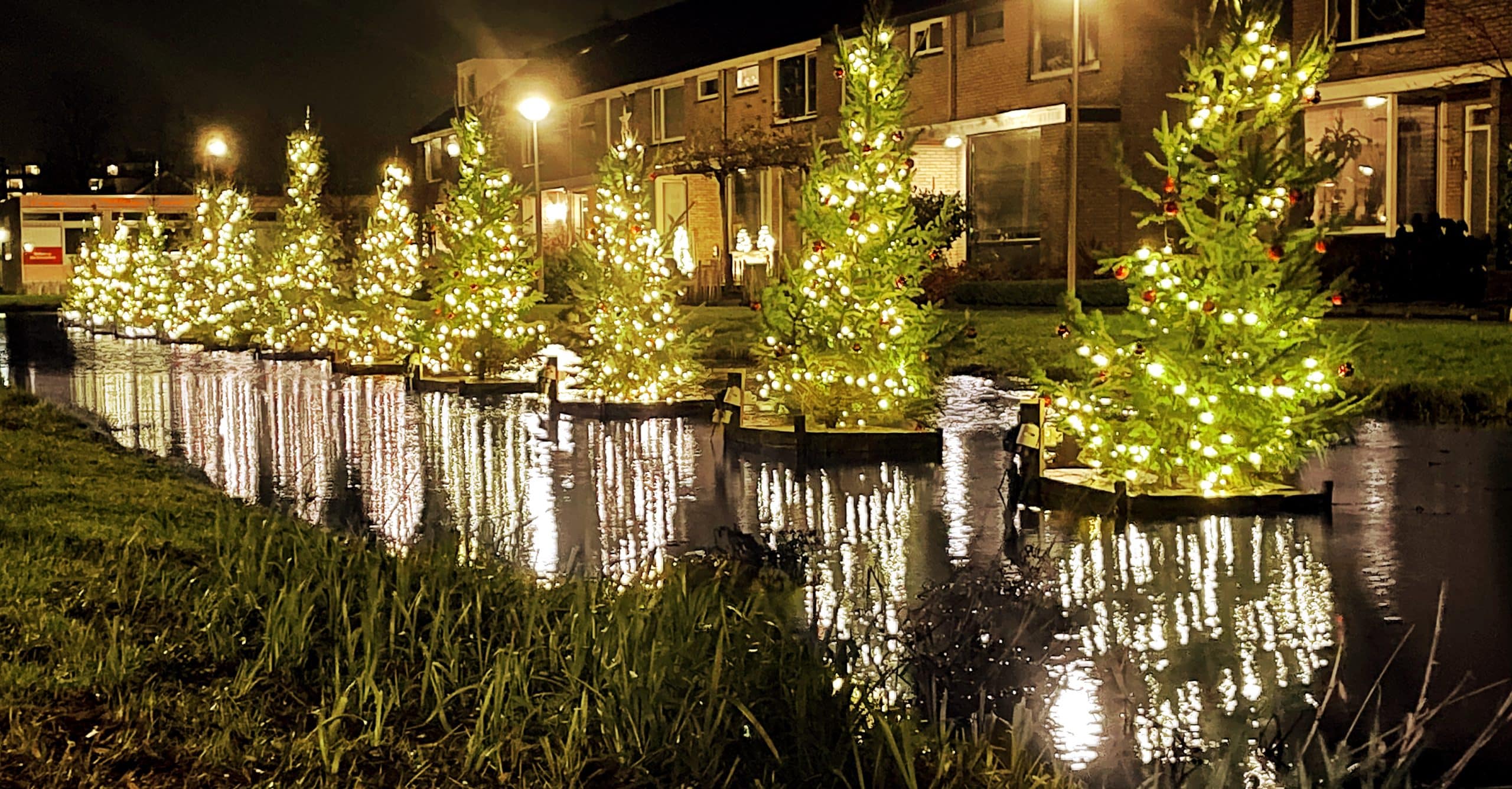 Op de foto ziet u 12 verlichte kerstbomen die in een rijtje naast elkaar drijven op de sloot aan de Mercatorsingel.